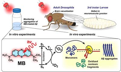 Alzheimer's Therapeutic Strategy: Photoactive Platforms for Suppressing the Aggregation of Amyloid β Protein